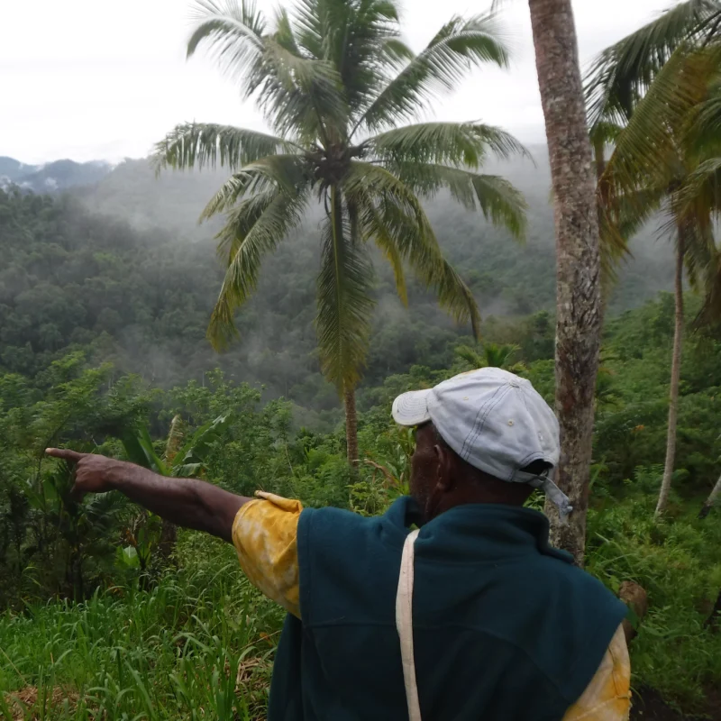 A photo of a man infant or a forested area, pointing to something out of frame.