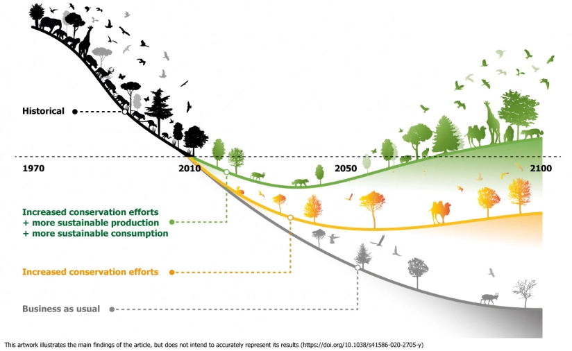 A graph showing the findings from Leclère et al (2022) showing that biodiversity loss will persist if we continue on our current trajectory.
